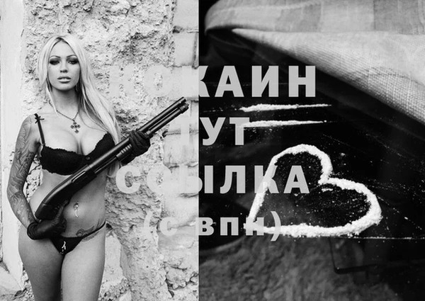 гашик Вяземский
