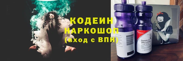 гашик Вяземский